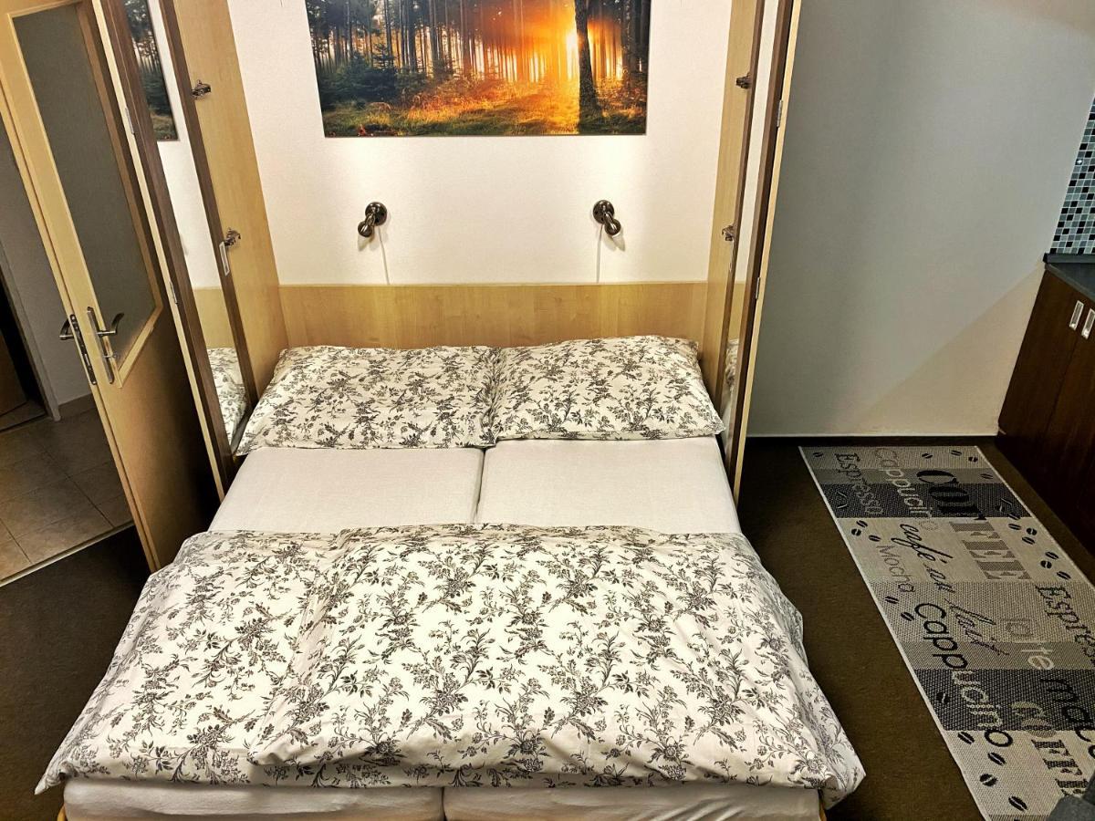 Apartman Modra Hvezda โรกีนีซ นัด ยีเซอโร ภายนอก รูปภาพ