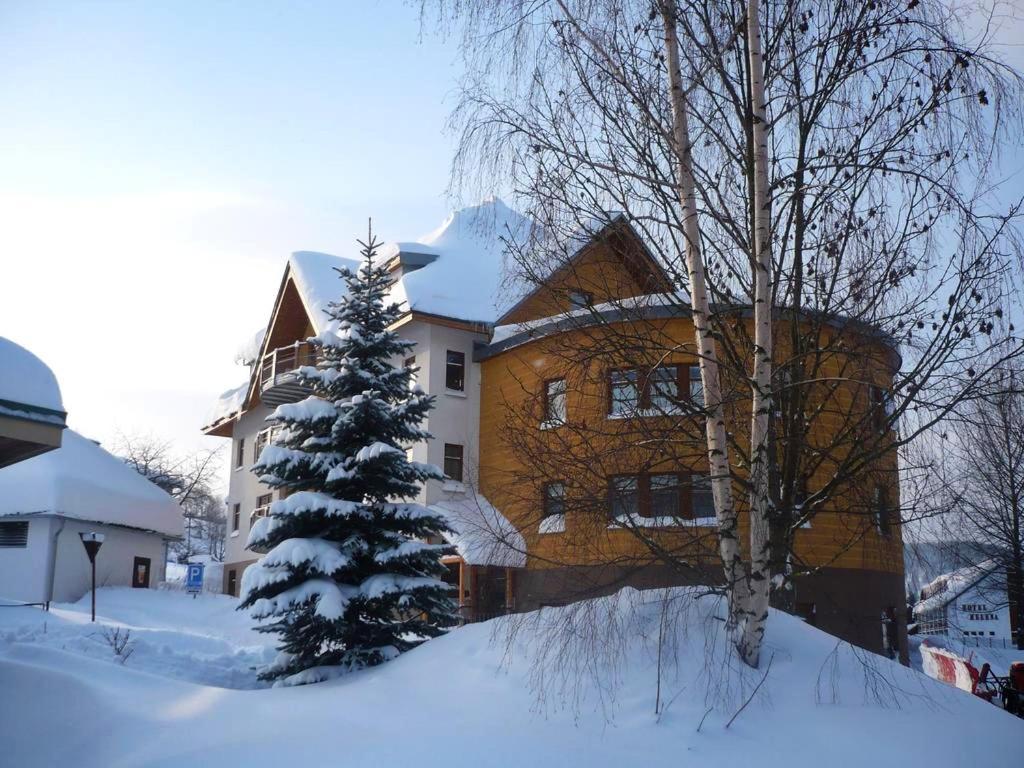 Apartman Modra Hvezda โรกีนีซ นัด ยีเซอโร ภายนอก รูปภาพ